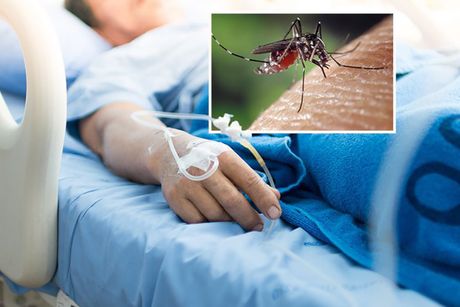 Tigrasti komarac, žena leži u bolnici