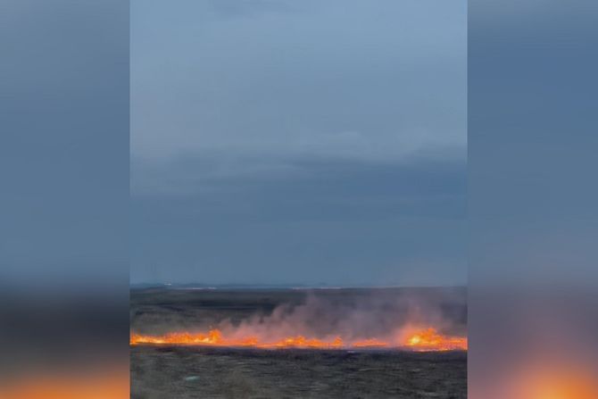 Vatra, požar, gori rastinje, Vršac