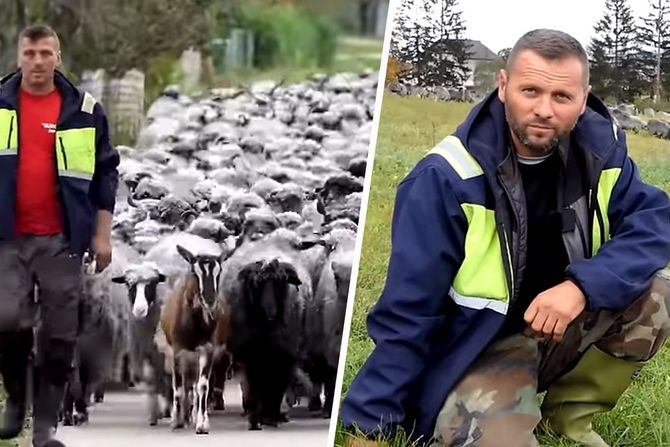 Remiz i Fehim Ahmić su braća koja imaju preko 600 ovaca.