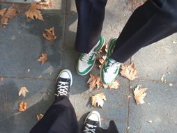 horoskop, zodijak, astrologija