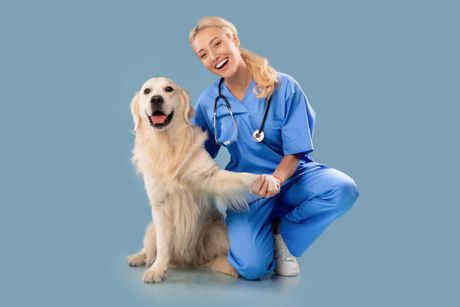 Preventivne kontrole kod veterinara