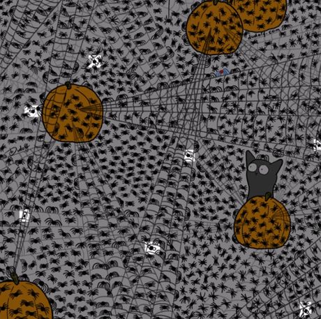 Skrivalica optička iluzija  Dudolf pauci