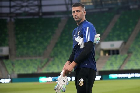 Nenad Filipović, Čukarički Nenad Filipović, Čukarički