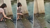 Devojka hranila kornjače, a onda je nastao haos: Misteriozna zver je otvorila čeljusti i iskočila iz vode