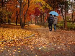 horoskop, zodijak, astrologija, jesen, zaljubljenost, ljubavni par, šetnja