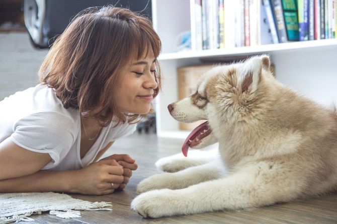 30 bolesti koje životinje prenose čoveku