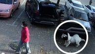 Pas u ulozi vrhunskog "kradljivca" džipova: Pokazao dominaciju, pogledajte kako je šapicama otvorio gepek