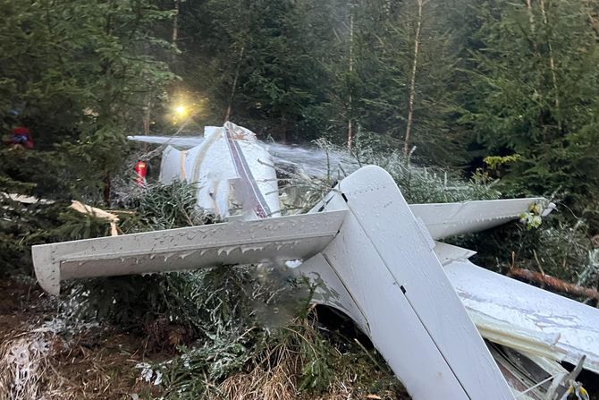 srušen avion u Austriji