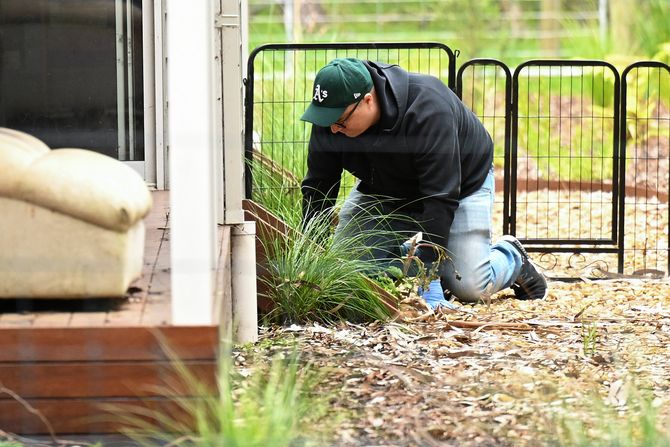 Australija pečurke trovanje