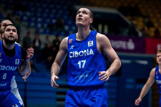 Aleksandar Aranitović KK Cibona