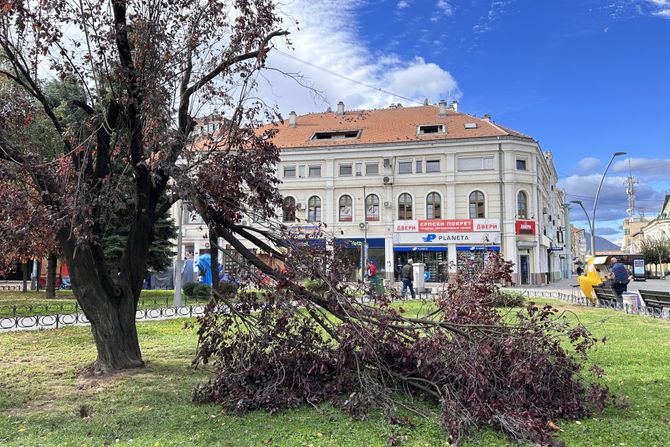 Čačak nevreme vetar lomio drveće