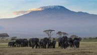 Čak 6 zemalja uključuje itinerer najskupljeg safarija na svetu