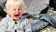 Dečak (2) nagazio na zmiju usred niškog parka: Stručnjaci tragaju za njom, građani van sebe od brige