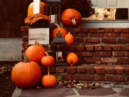 horoskop, zodijak, astrologija, bundeva, kuća, trem