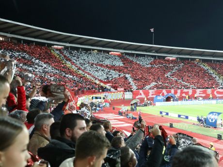 Fudbal Liga Šampiona FK Crvena Zvezda Lajpcig