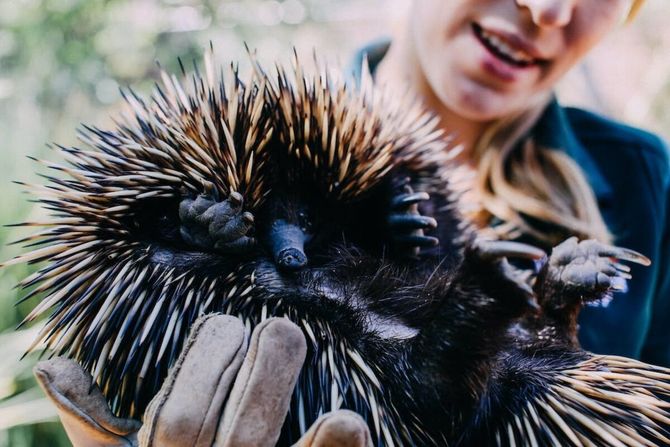 Međunarodni dan edukatora u zoo-vrtovima