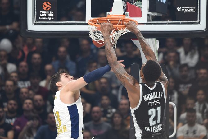 Džejms Naneli, KK Partizan, KK Fenerbahče