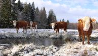 Stiže zima! U ovim delovima Srbije pao je sneg, temperatura bila i u minusu