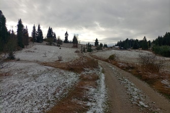 Sneg, Zlatibor, zlatar