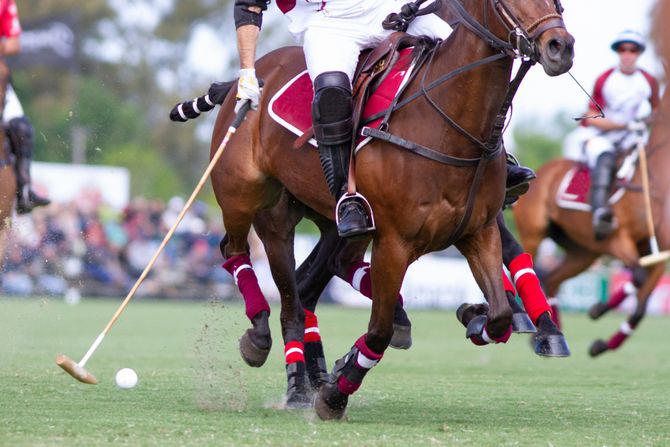 Polo sport klub Polo sport klub