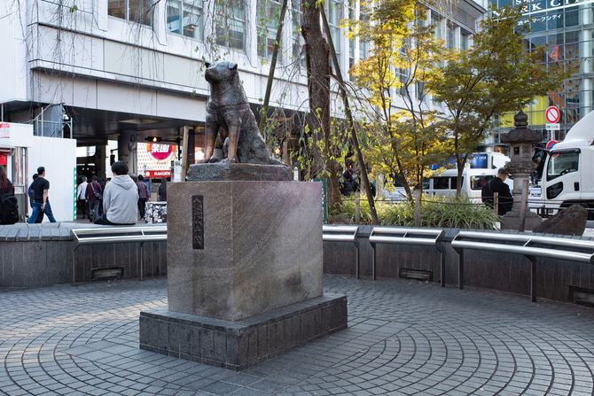 Hachiko