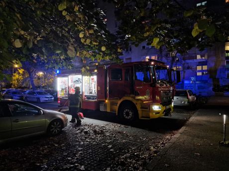 Požar Novi Sad Šekspirova ulica vatrogasci