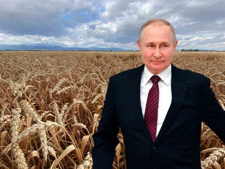 Žito i Putin