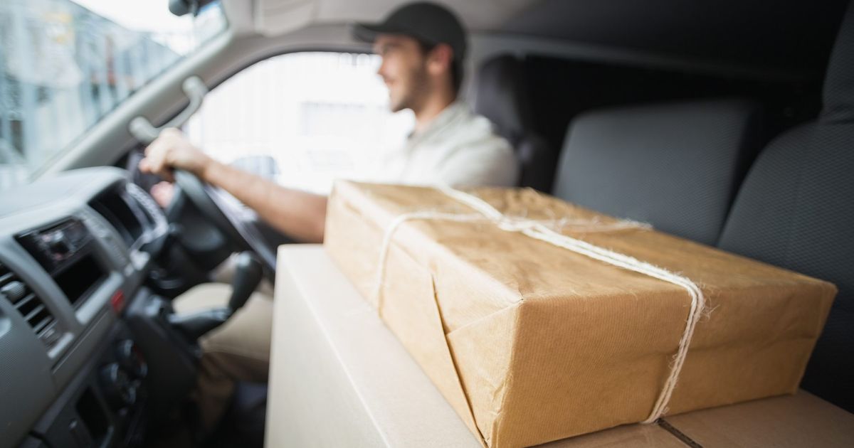 Žena se pitala zašto dostavljač ne donosi paket, a onda se čuli krici iz kombija: Svi u šoku posmatrali prizor