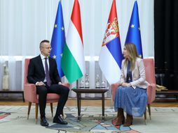 peter sijarto, dubravka đedović