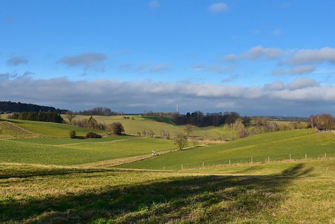 Njiva, zemlja, zemljoradnja, oranica