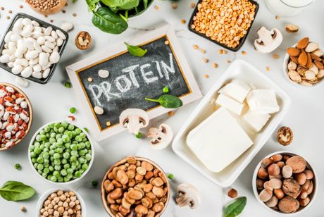proteini ishrana biljna ishrana