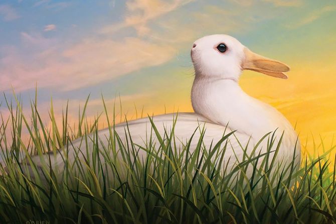 Optička iluzija zec Optička iluzija zec