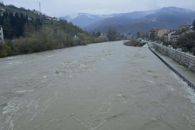 goran vesić, Lim