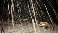 Počela snežna vejavica u Srbiji: Otkrivamo gde se očekuje i do 30 centimetara snega