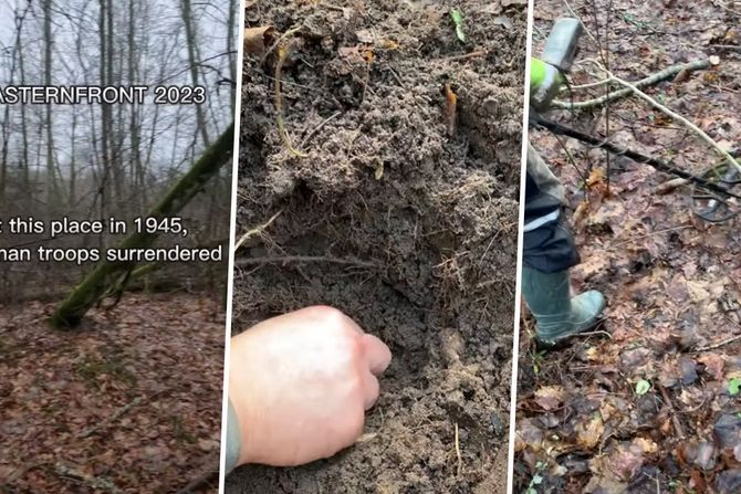 Blago u šumi Blago u šumi