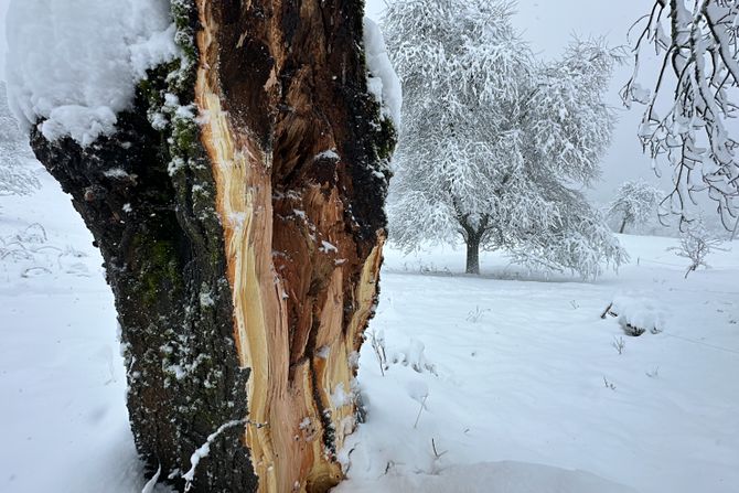 Ivanjica, sneg