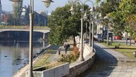 Mladunče strogo zaštićene vrste spaseno u Nišu: Njegov pogled govori milion reči!