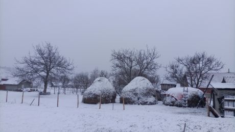 Sneg, Nova Varoš