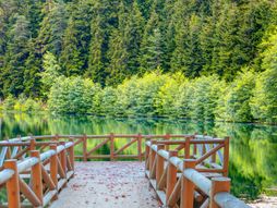 Nacionalni park Karagol Sahara, Turska