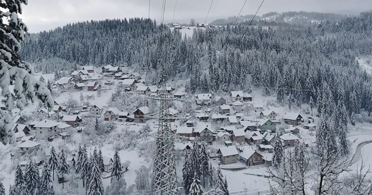 Ein trauriges Ende der Suche: Milinga wurde weit weg von zu Hause gefunden