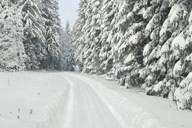 Nova Varoš, vanredno stanje, smetovi, mećava, nevreme sneg