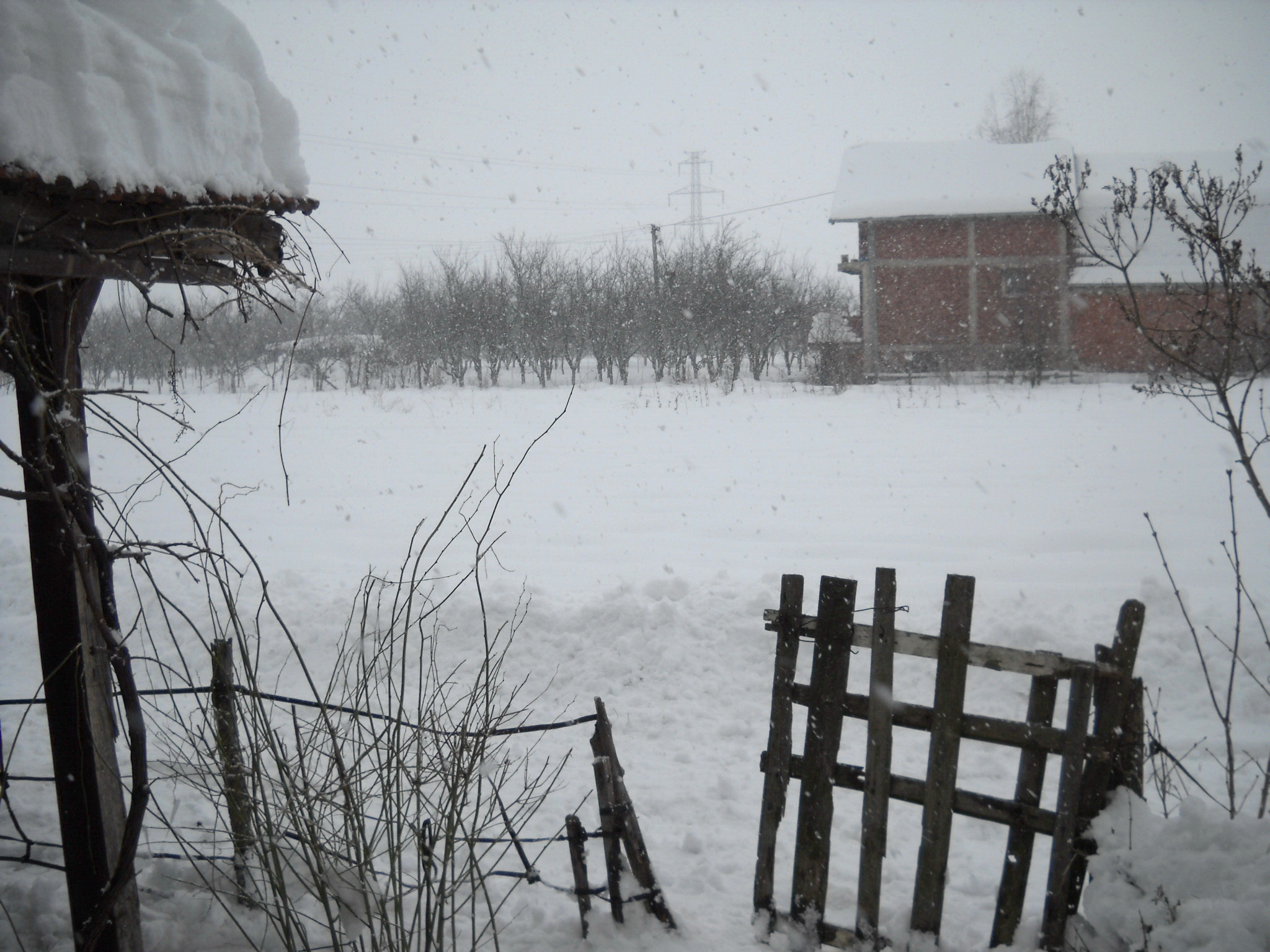 Zabelelo se i u ovom delu Srbije, snimak snega u aprilu šokirao sve: Pazite se, ovde se sutra očekuje MRAZ