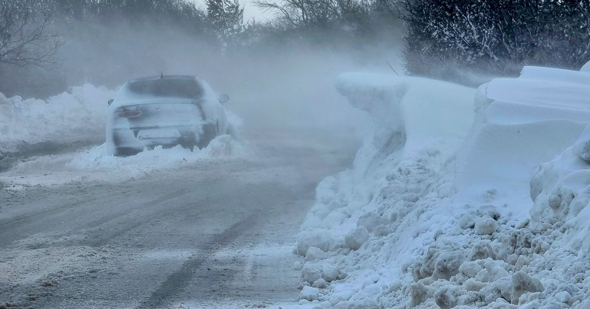 Blizzard on Mt. Zlatibor: 14 trucks and 4 graders deployed on roads ...