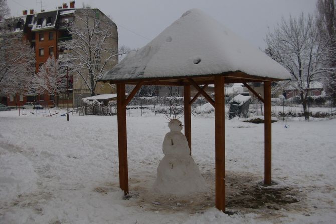 Crna Trava Leskovac sneg  smetovi