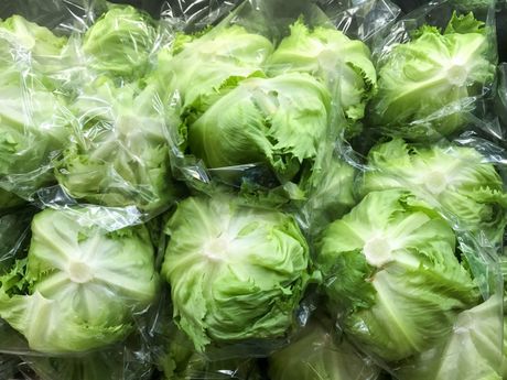 Pakovanje zelena salata