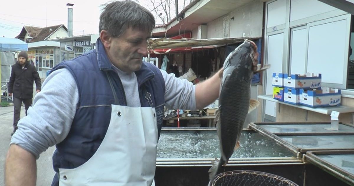cena-ribe-na-pijacama-telegraf-biznis