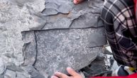 Neverovatno! Dečak pronašao fosil star 500 miliona godina: Pažnju su mu privukle čudne šare na kamenju
