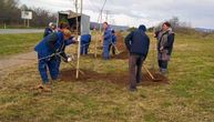 U Kladovu zasađeno 200 sadnica: Smanjiće se udari košave i stvoriti lepši ambijent