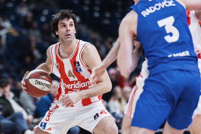 KK Crvena zvezda - KK Cibona