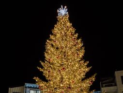 Portonovi paljenje lampica na jelci